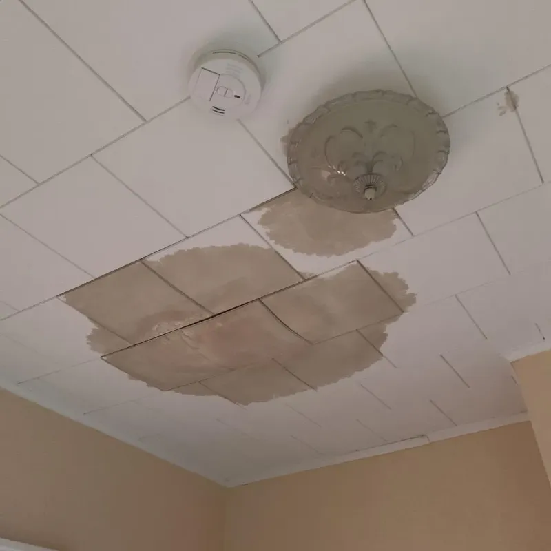 Ceiling Water Damage Repair in Pike County, IN