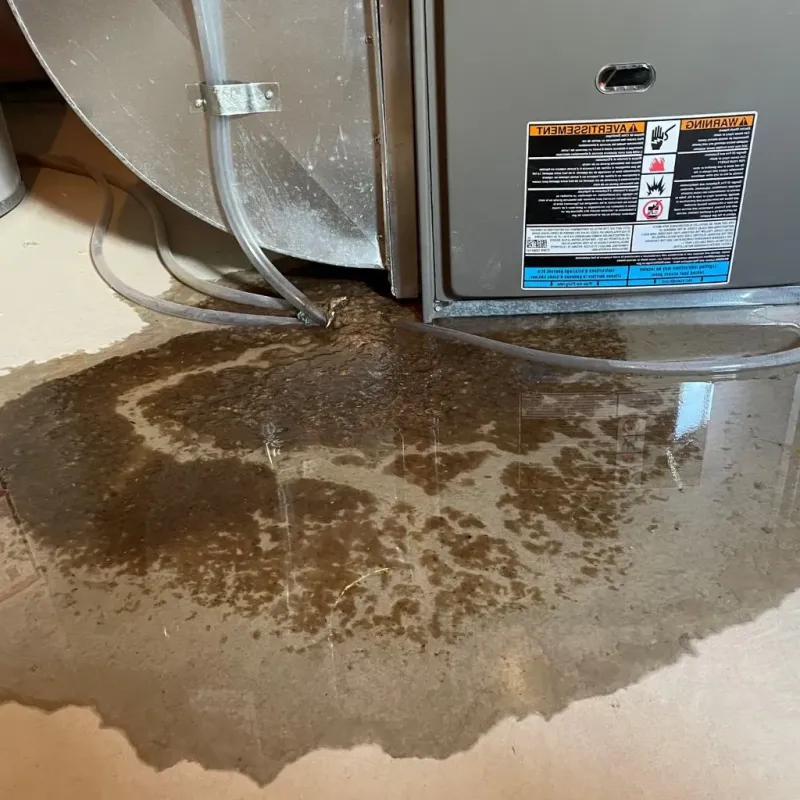 Pipe Burst and Leak Restoration in Pike County, IN