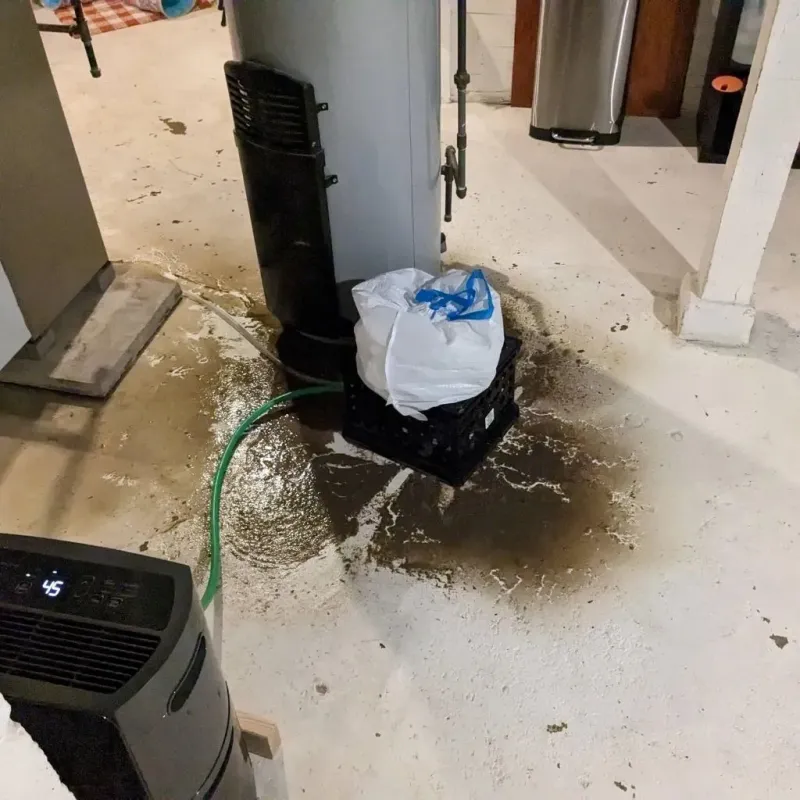 Sewage Backup Cleanup Service in Pike County, IN